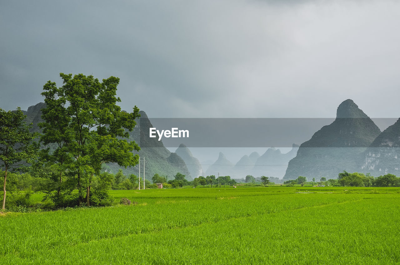 Scenic view of field against sky