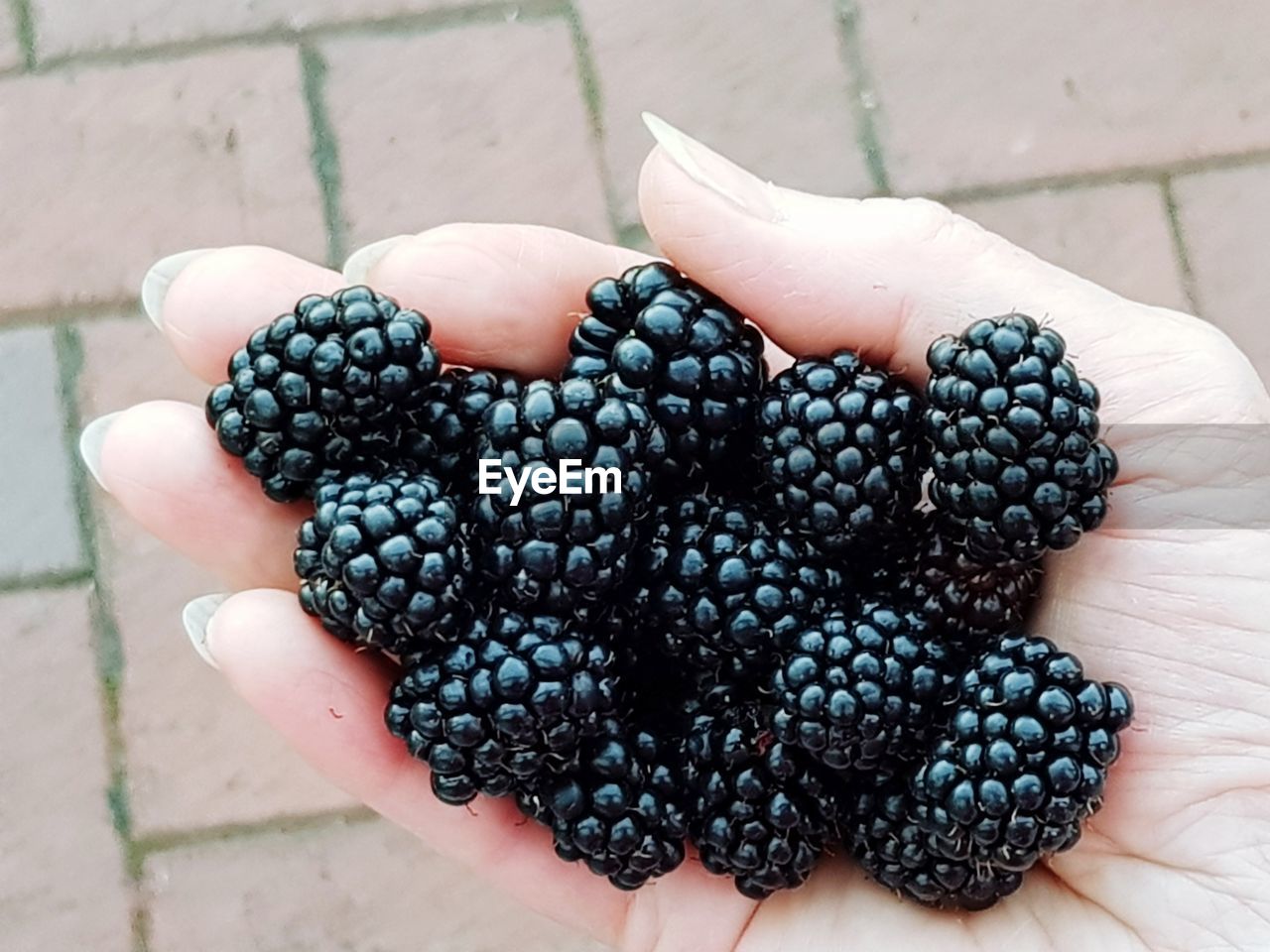 CLOSE-UP OF HUMAN HAND HOLDING FRUIT