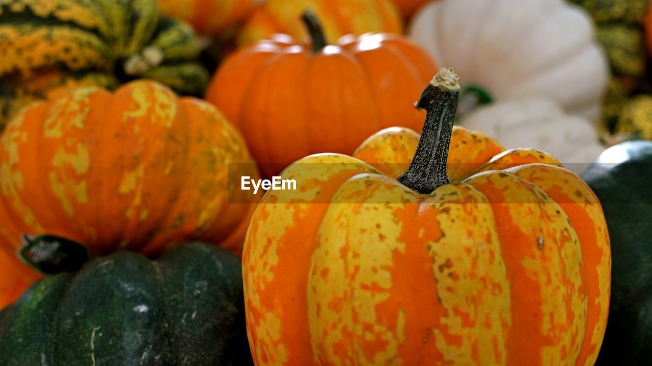 close-up of pumpkin on table