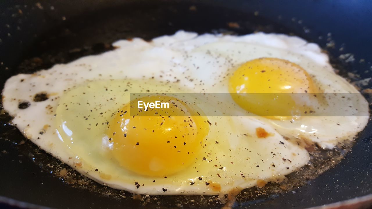 Close-up of breakfast served in plate