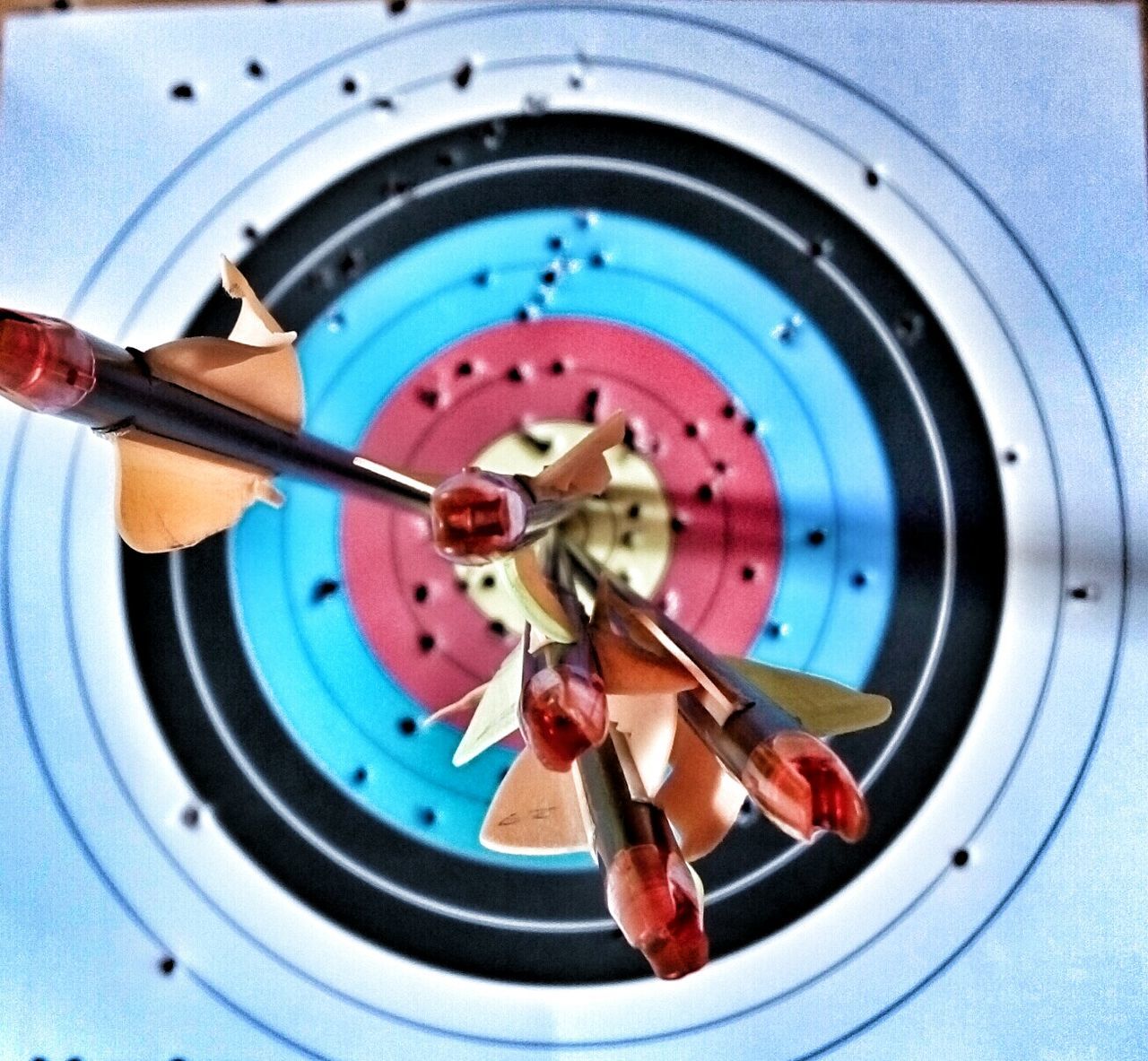 Close-up of arrows on bull eye