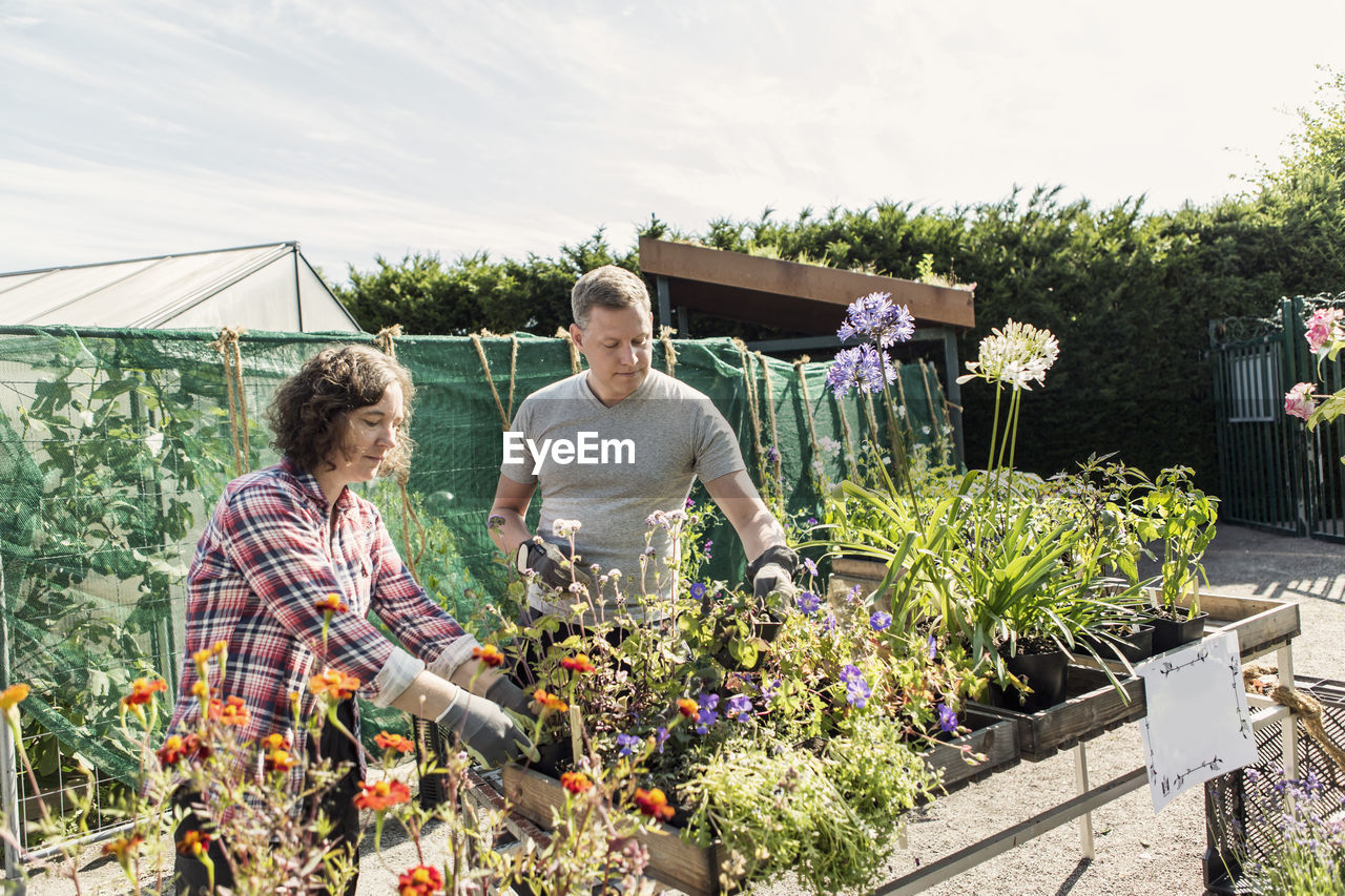 Couple gardening at plant nursery