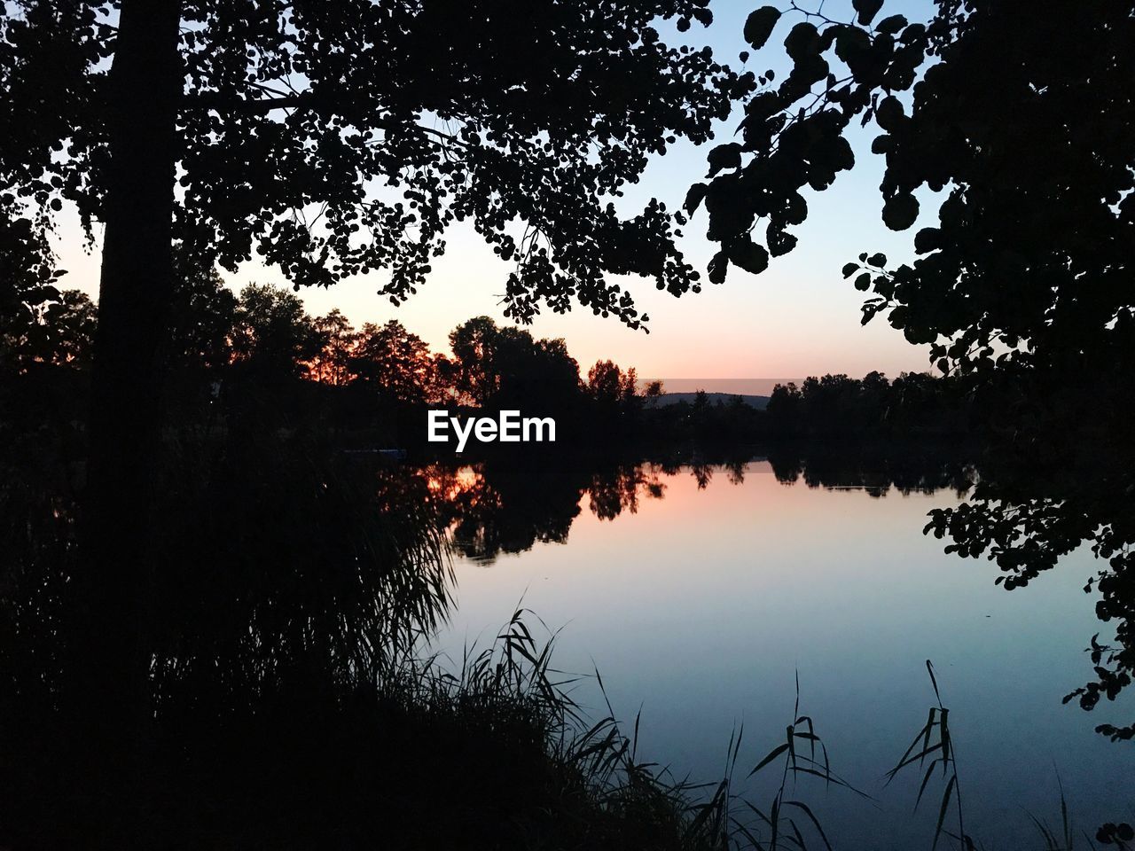 REFLECTION OF SILHOUETTE TREES IN LAKE AGAINST SKY