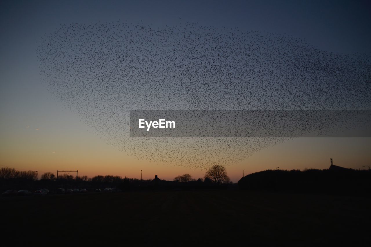 SCENIC VIEW OF SILHOUETTE FIELD AGAINST SKY AT SUNSET