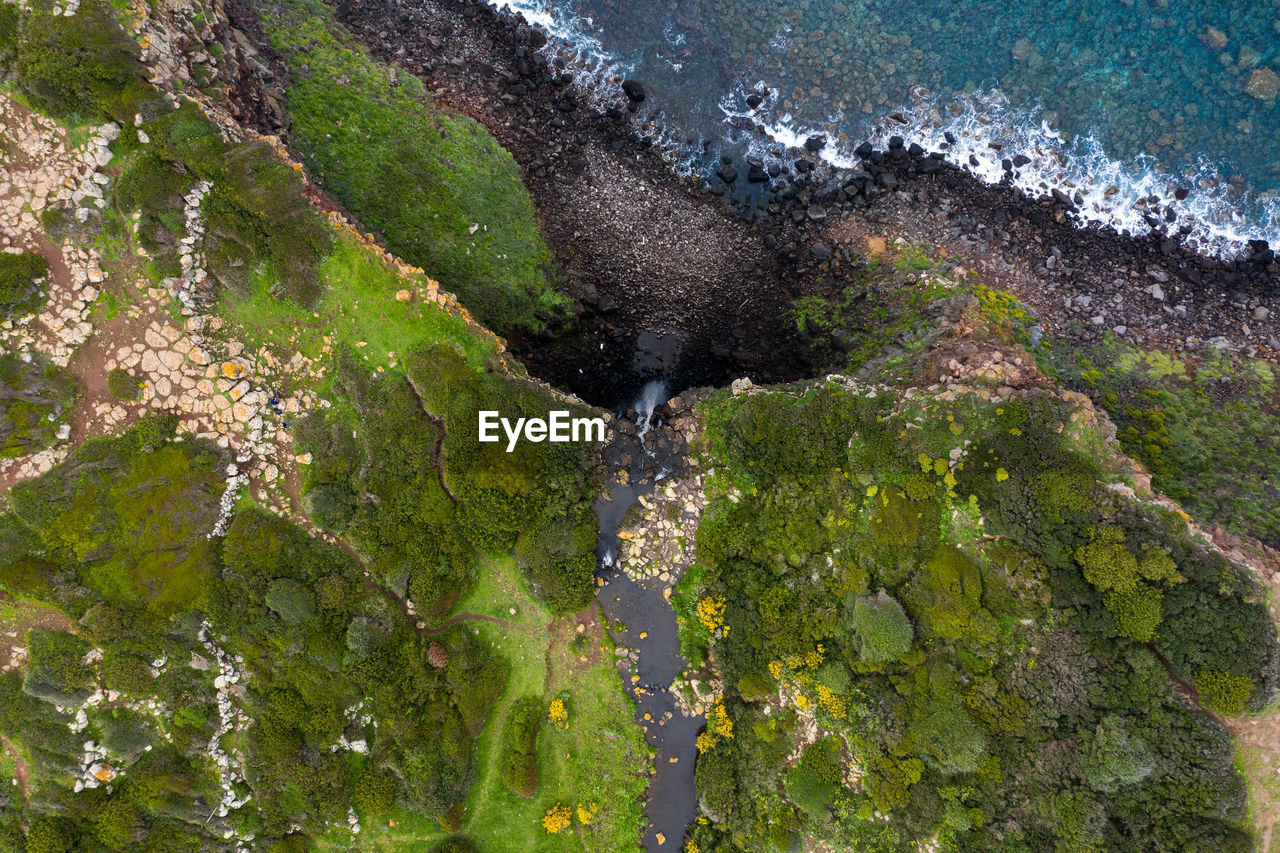 HIGH ANGLE VIEW OF STREAM AMIDST TREES