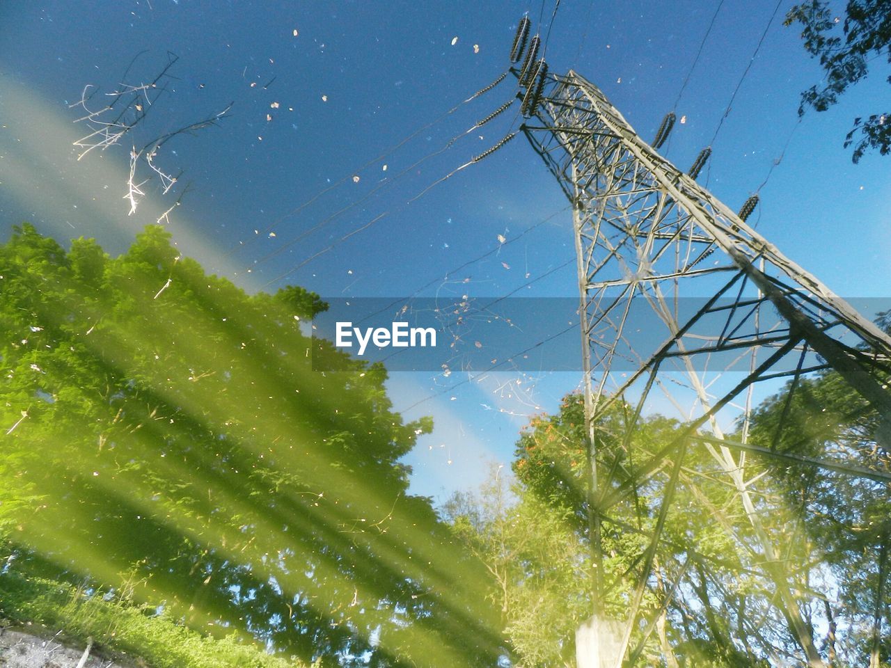 LOW ANGLE VIEW OF TREES AGAINST SKY