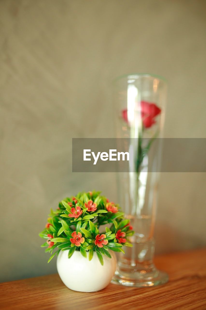 Close-up of potted plant with flower on wooden table against wall