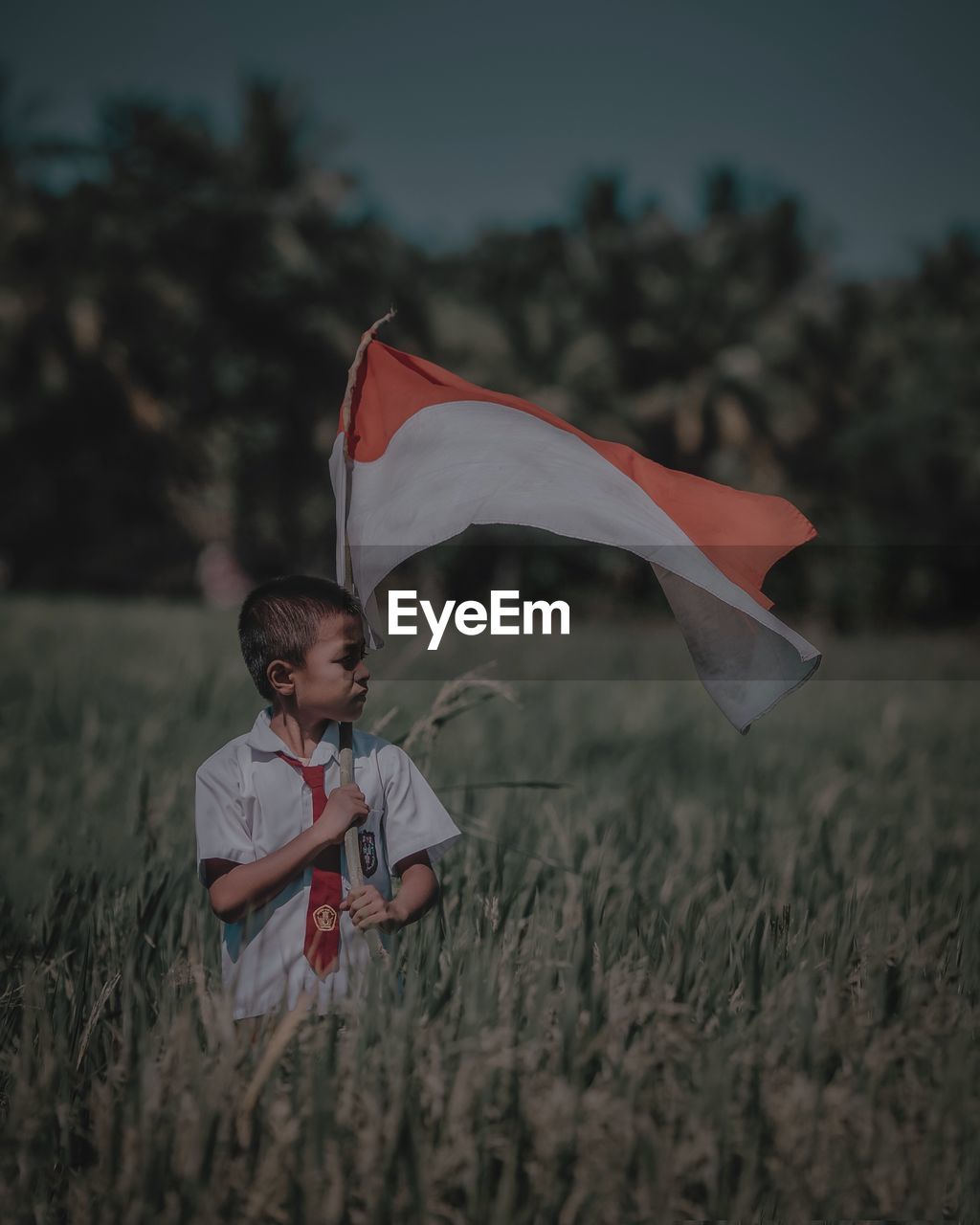Boy holding indonesian flag on field