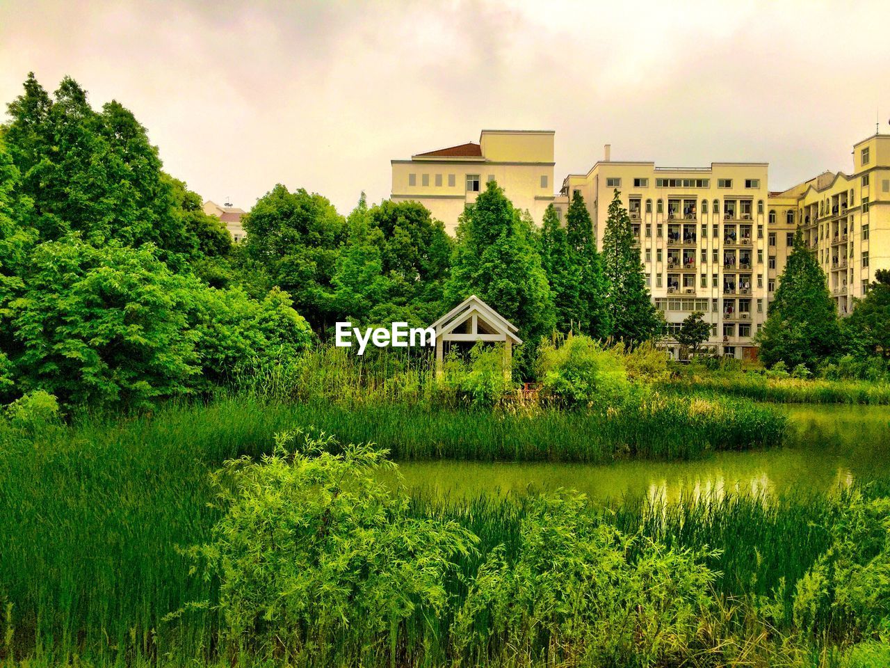 TREES AND HOUSES BY LAKE AGAINST BUILDINGS