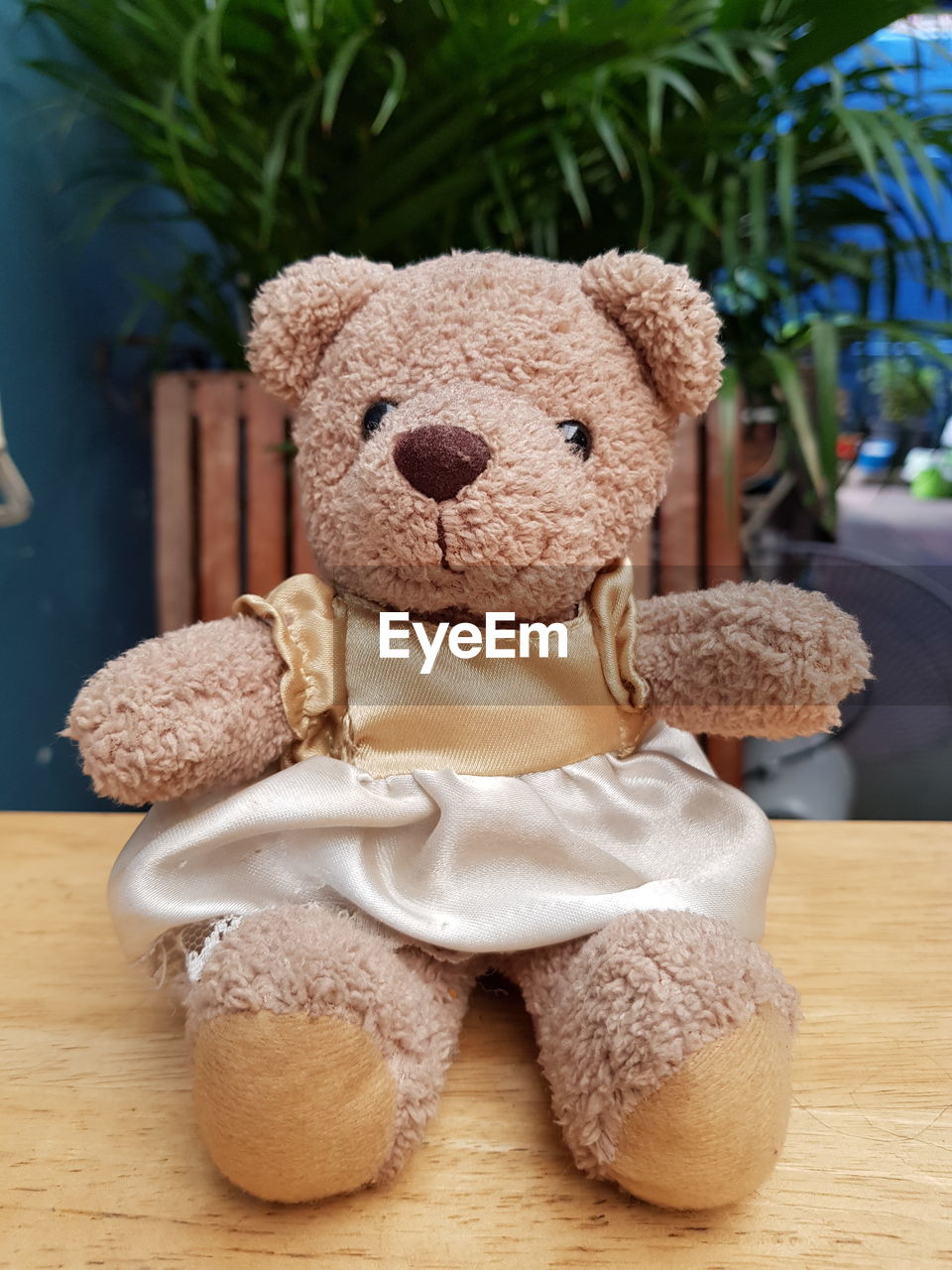 CLOSE-UP OF STUFFED TOYS ON TABLE AT HOME