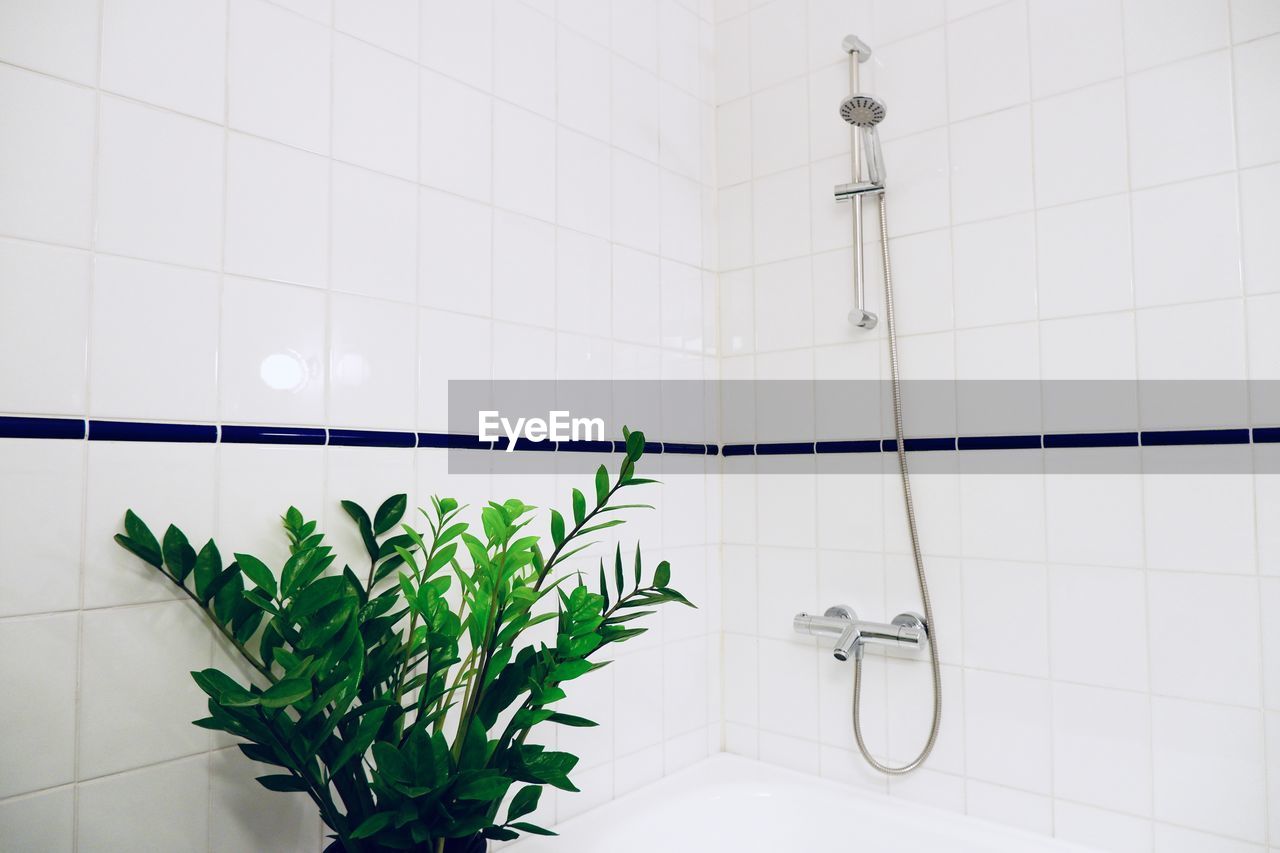 POTTED PLANT ON TILED FLOOR