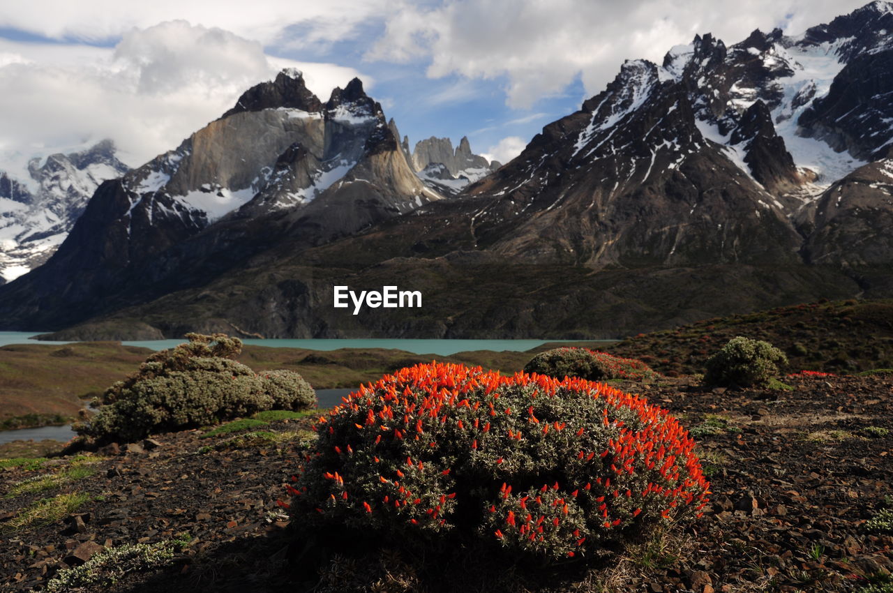 Scenic view of snowcapped mountains against sky in torres del paine