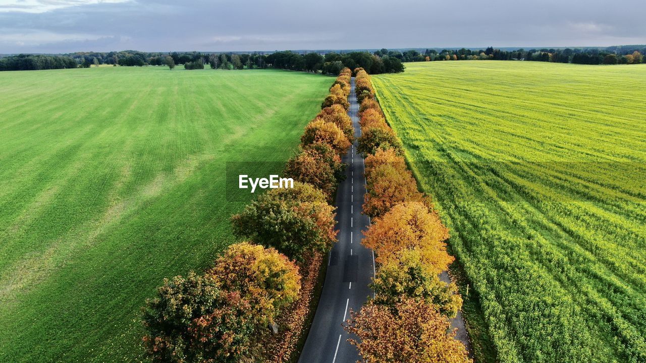 Scenic view of agricultural field against sky by drone