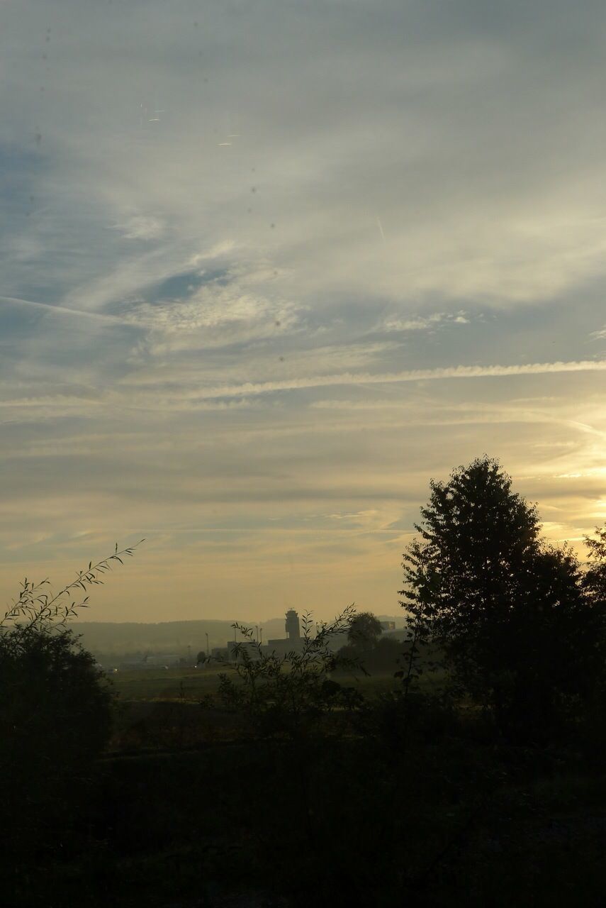 Trees on landscape against cloudy sky