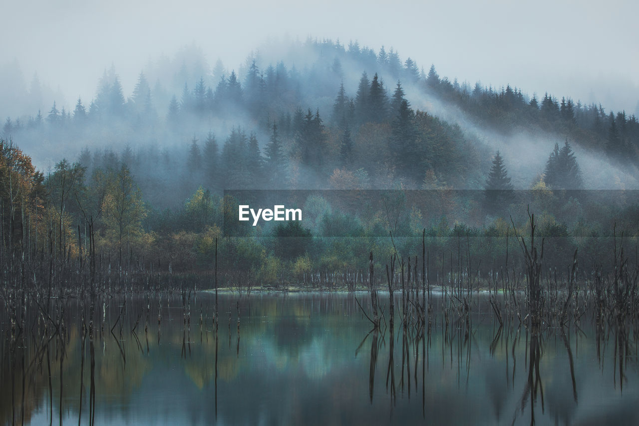 Cuejdel natural lake in the autumn season.