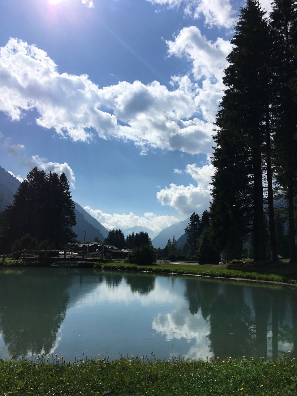 reflection, sunlight, nature, sky, tree, plant, cloud, water, beauty in nature, no people, environment, light, day, scenics - nature, tranquility, outdoors, blue, land, landscape, forest, tranquil scene, lake