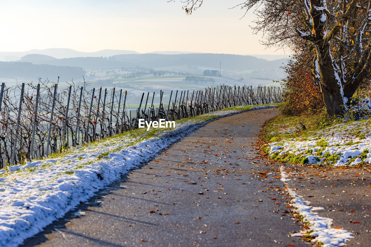 A dirt road in a vineyard with snow and sunshine