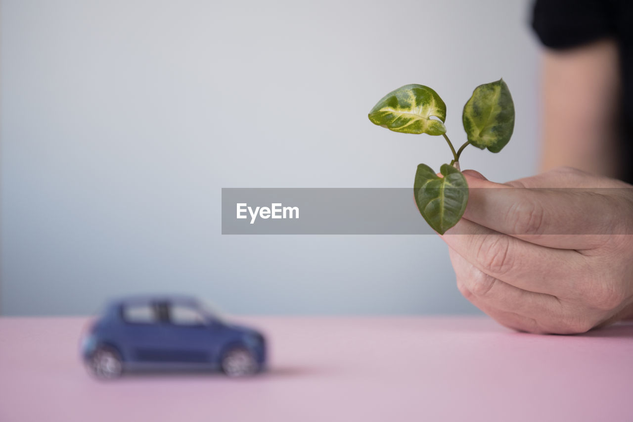 Hand holding leaf, toy car in background