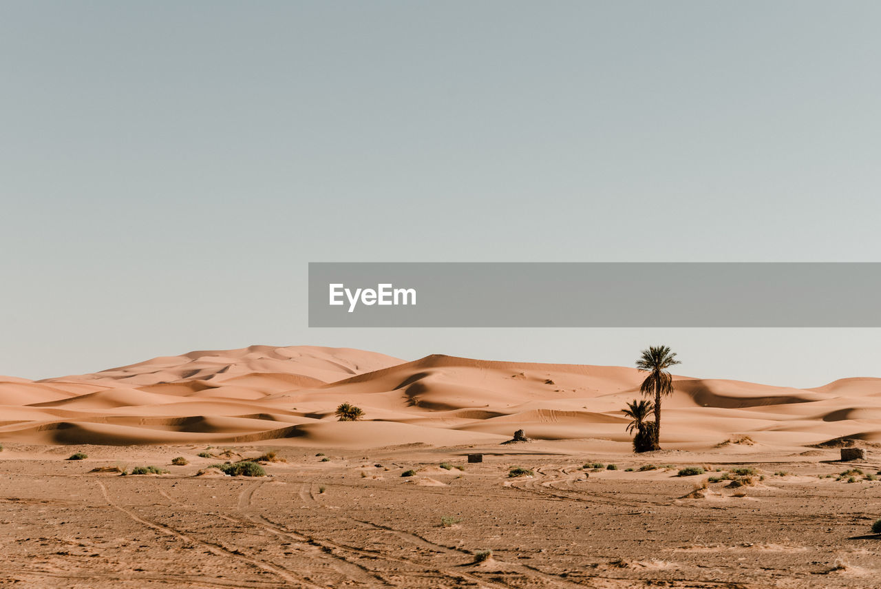 Great desert of sand dunes of the sahara