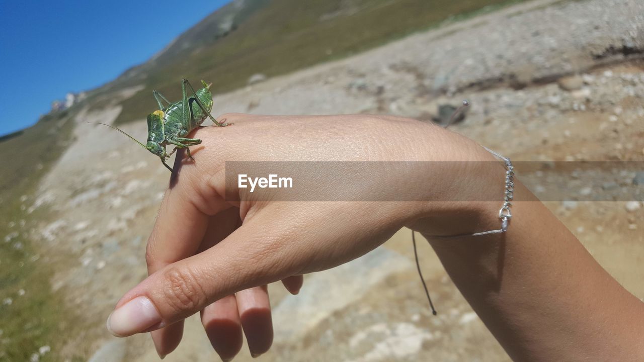 CLOSE-UP OF HUMAN HAND HOLDING SMALL