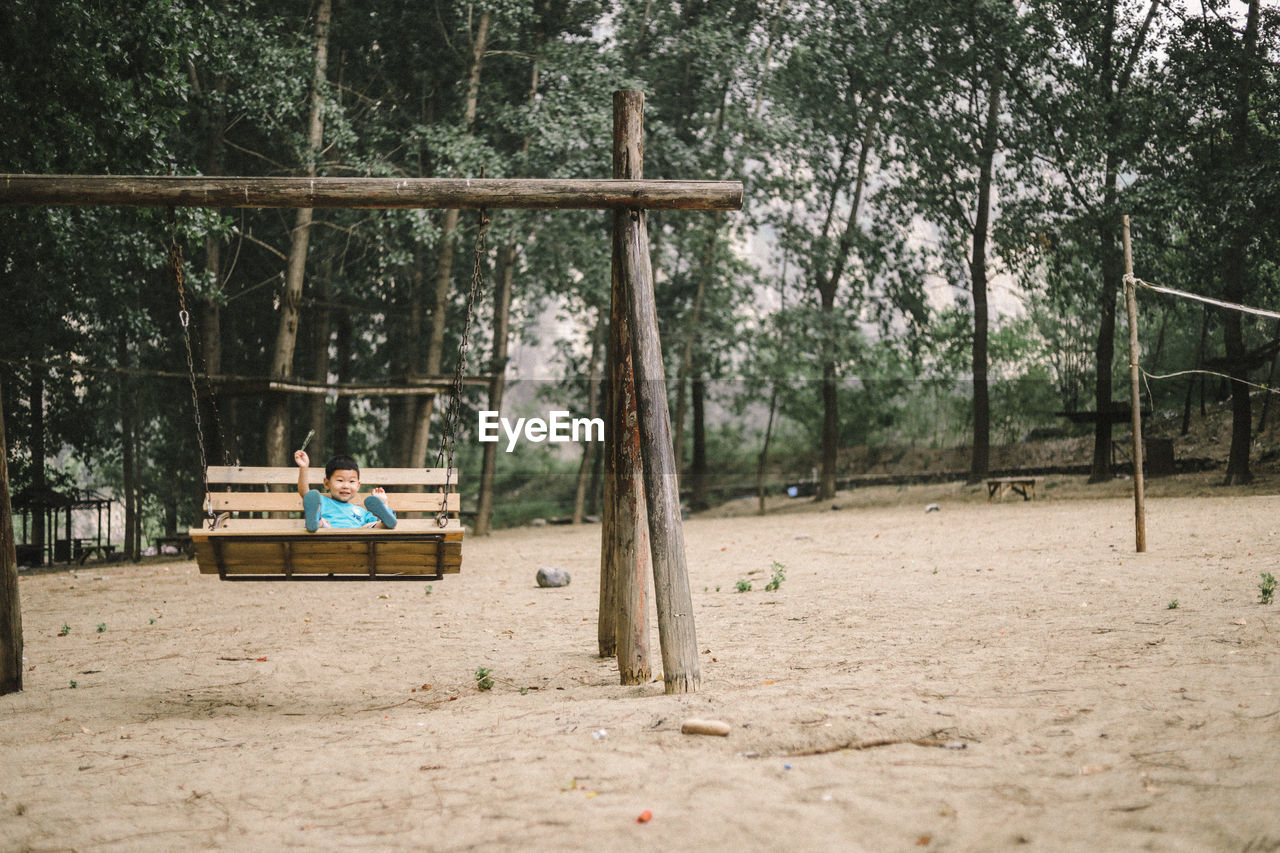 MAN SITTING ON BENCH BY TREE IN FOREST