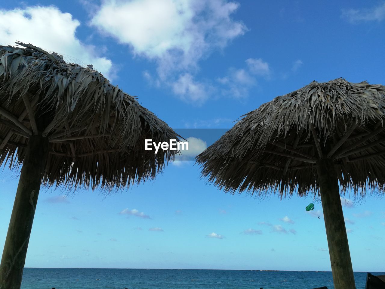 Palm trees on beach against blue sky