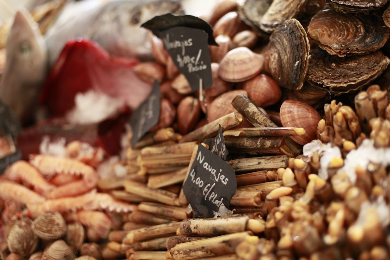 Close-up of shells for sale