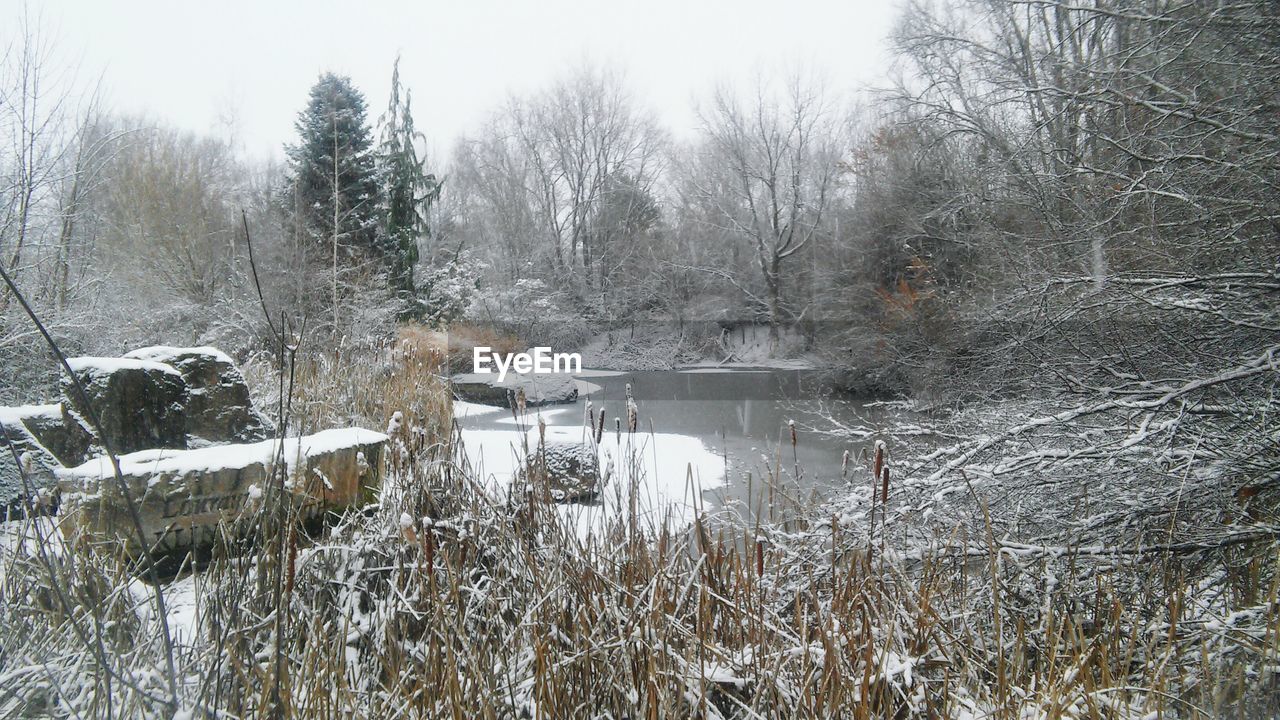 Scenic view of pond amidst trees during winter