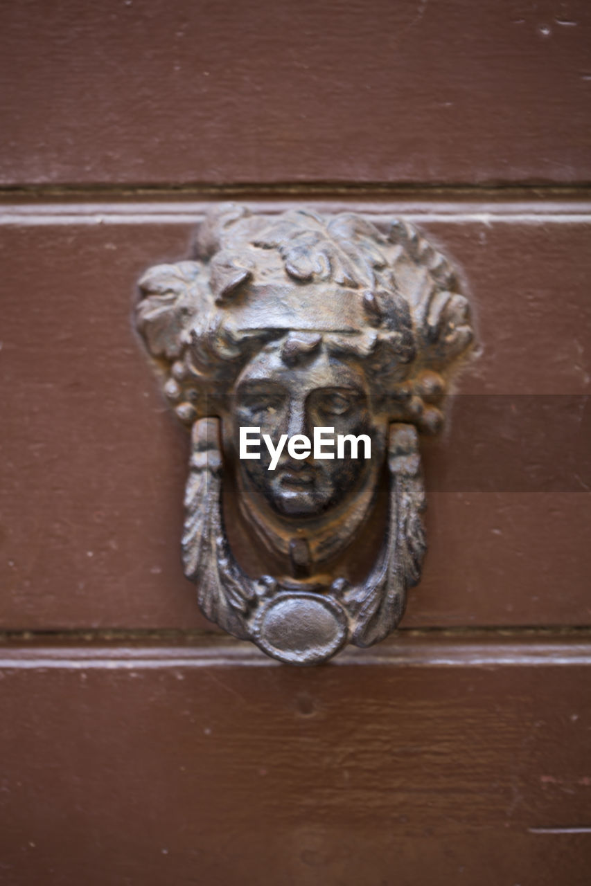 CLOSE-UP OF BLACK CAT ON DOOR