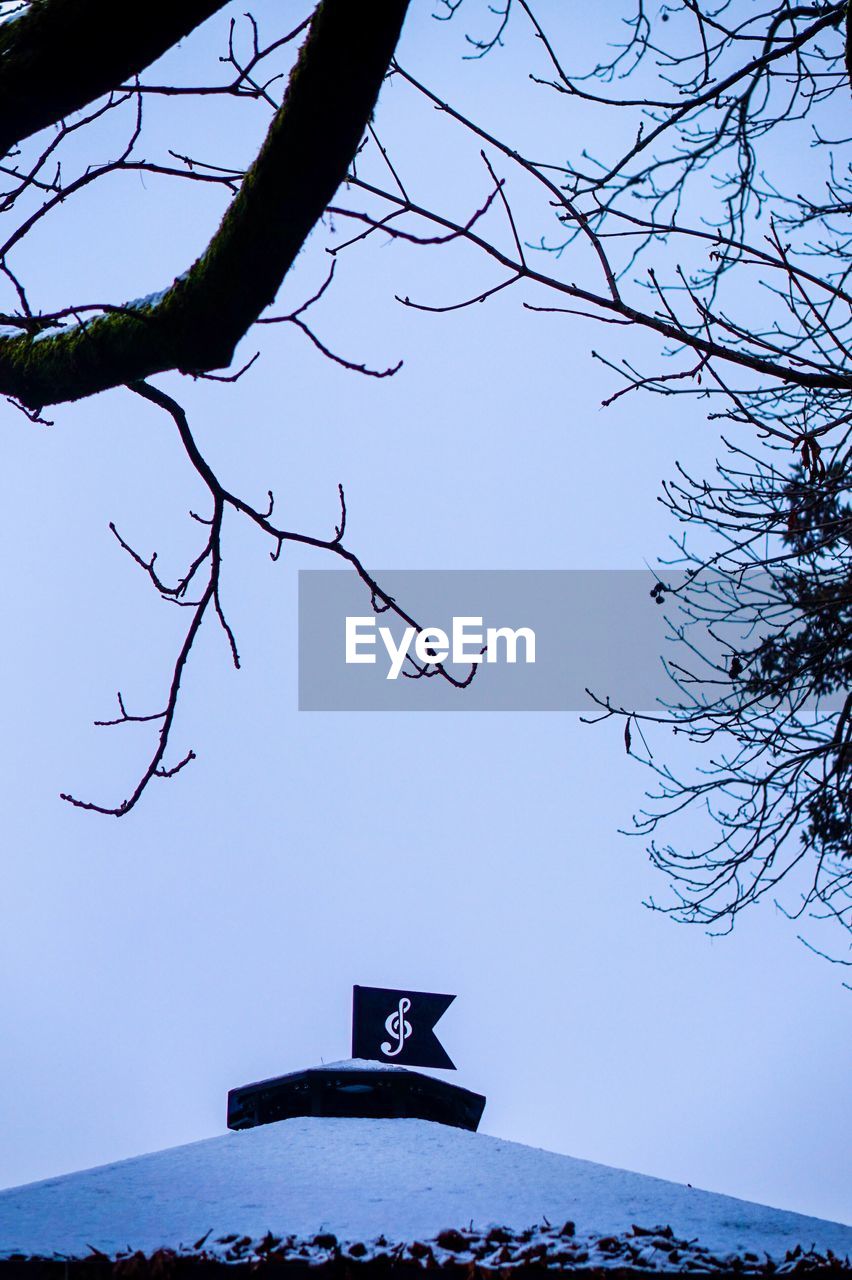 LOW ANGLE VIEW OF TREES AGAINST SKY