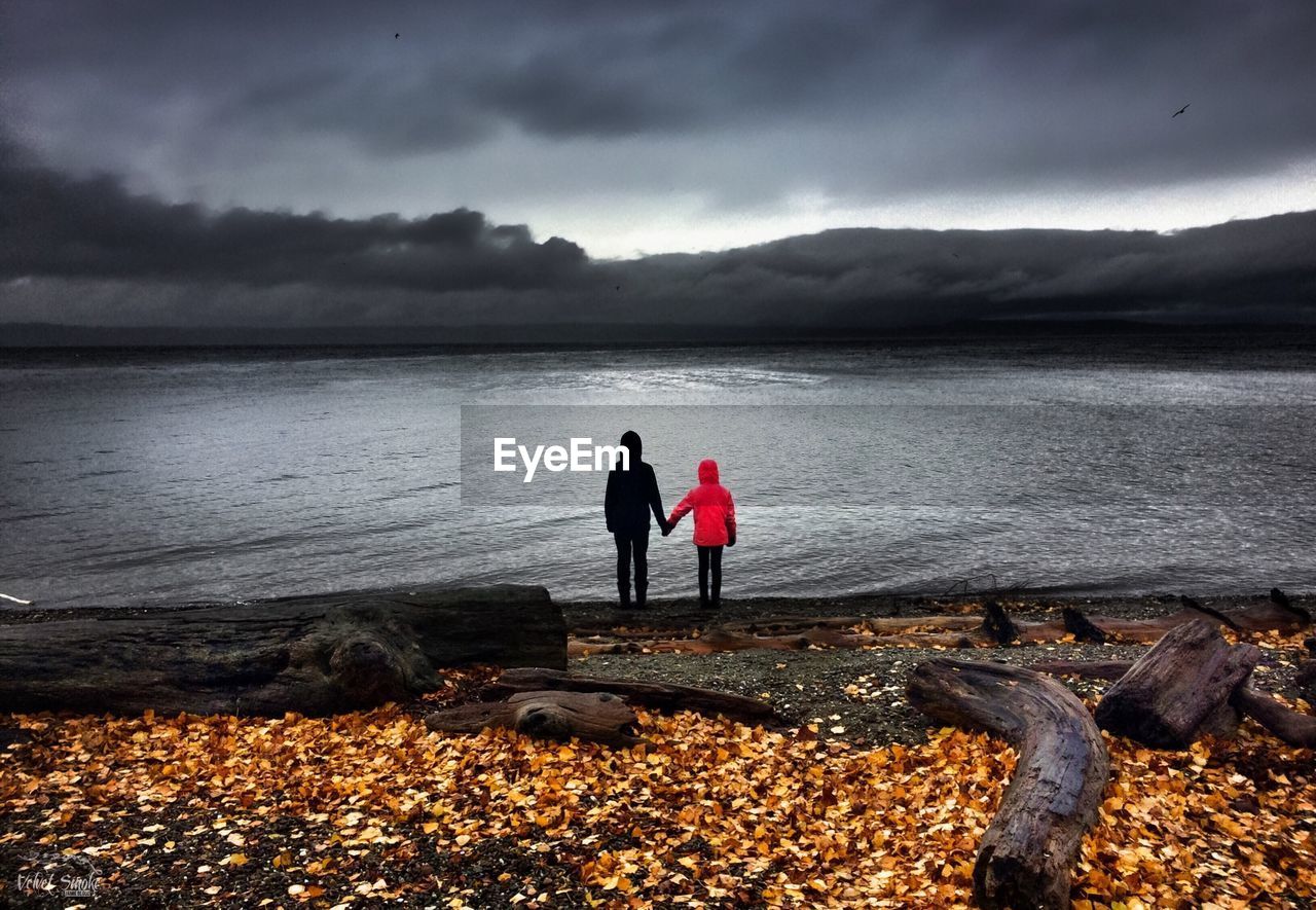 Rear view of siblings standing against lake