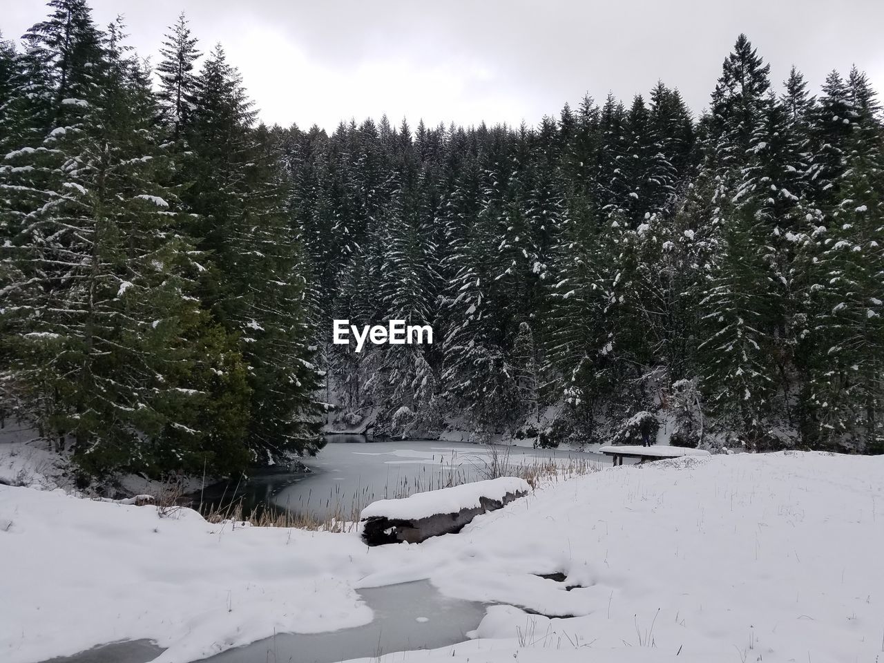 SCENIC VIEW OF SNOW FIELD AGAINST SKY