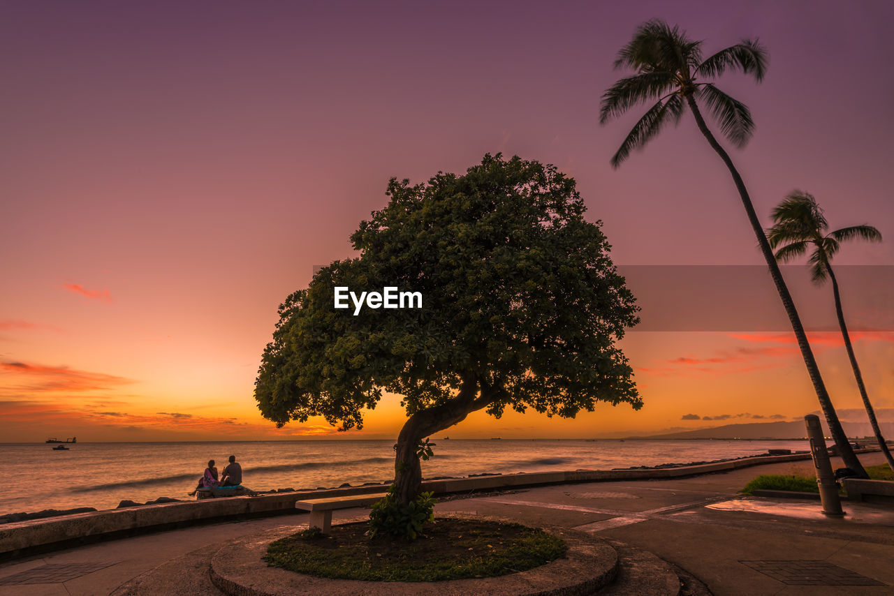 Silhouette tree at beach against orange sky