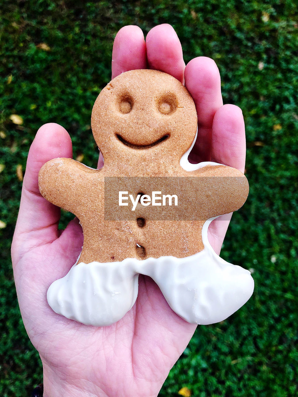 Close-up of hand holding gingerbread cookie outdoors
