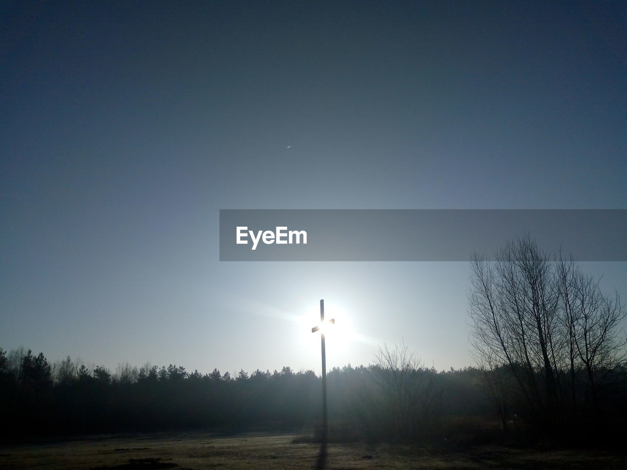 SILHOUETTE TREES ON FIELD AGAINST CLEAR SKY DURING SUNRISE