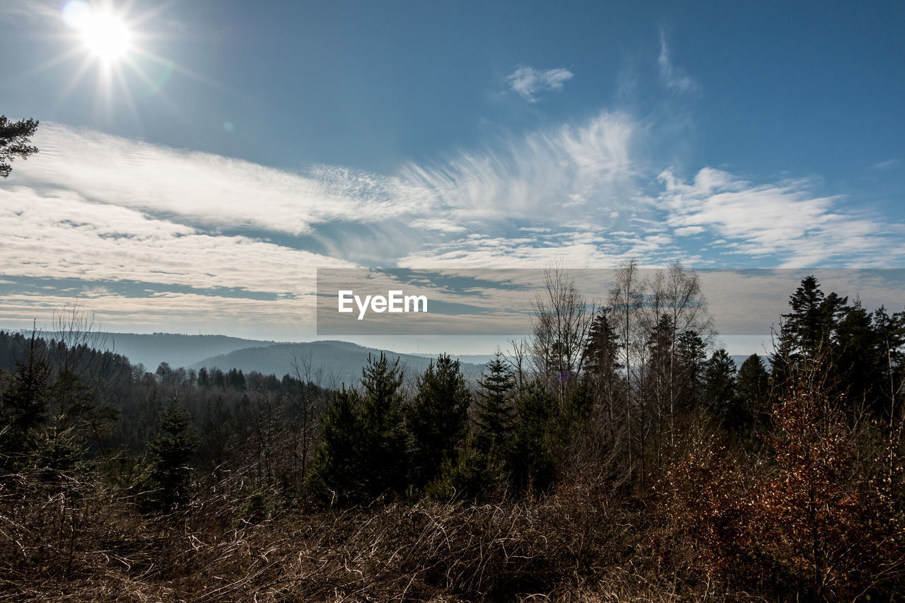 SCENIC VIEW OF BRIGHT SUN OVER LAND