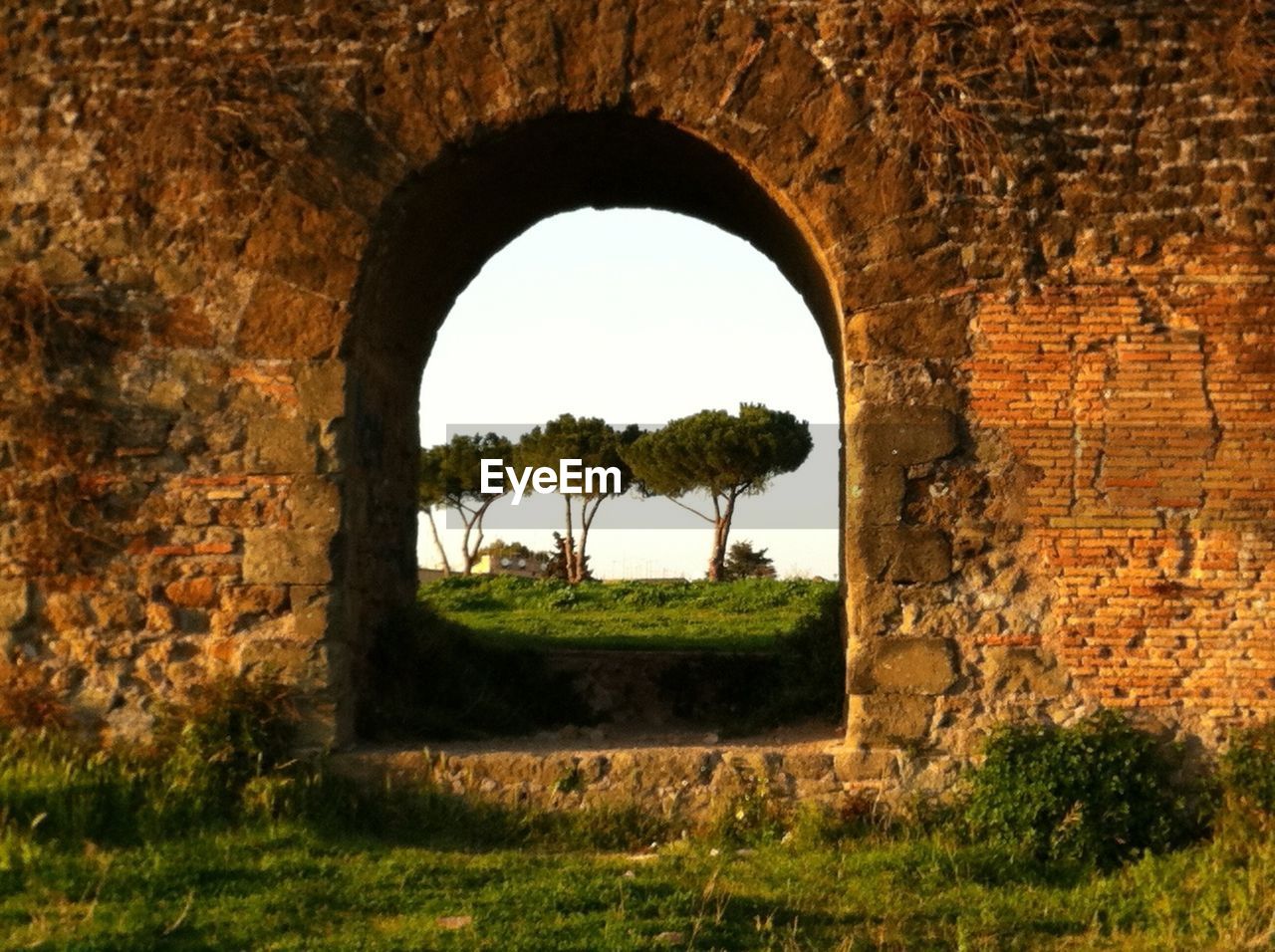 Trees on field seen through arch