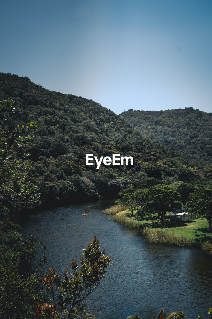 Scenic view of river amidst trees against clear sky