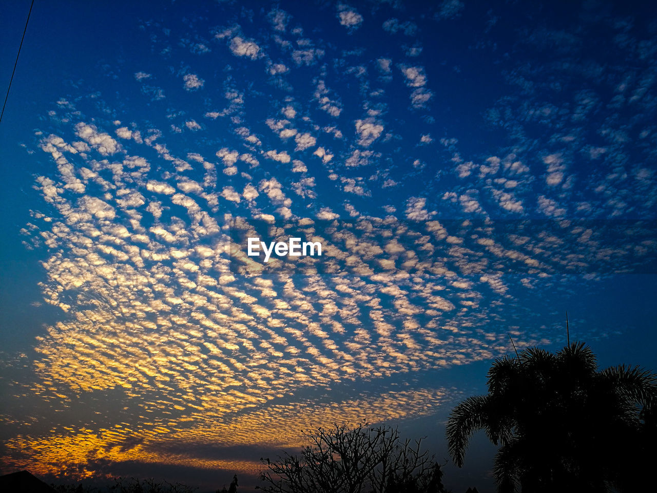 LOW ANGLE VIEW OF SILHOUETTE TREES AGAINST SUNSET SKY