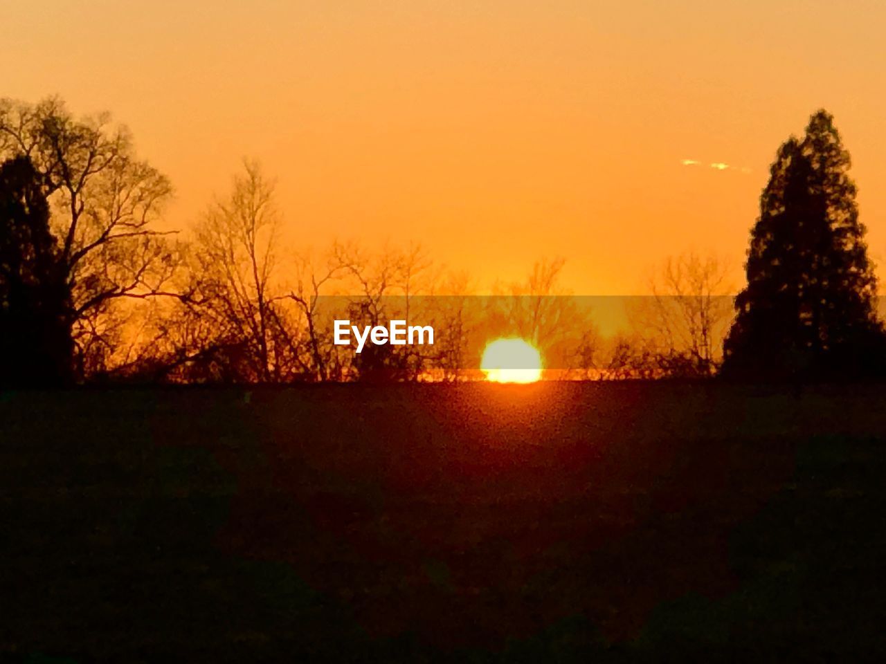 SILHOUETTE TREES ON FIELD AGAINST SKY AT SUNSET