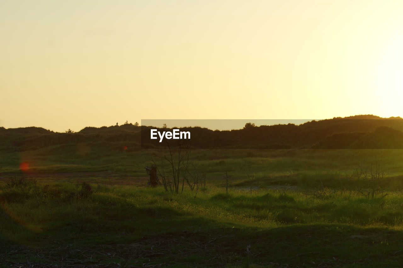 Scenic view of field against clear sky