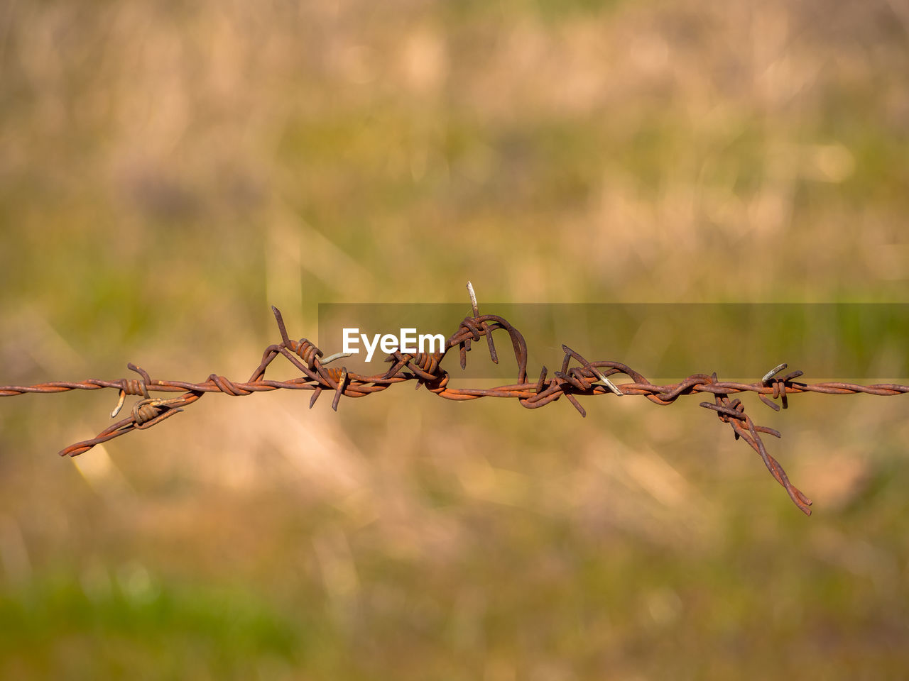 CLOSE-UP OF BARBED WIRE AGAINST FENCE