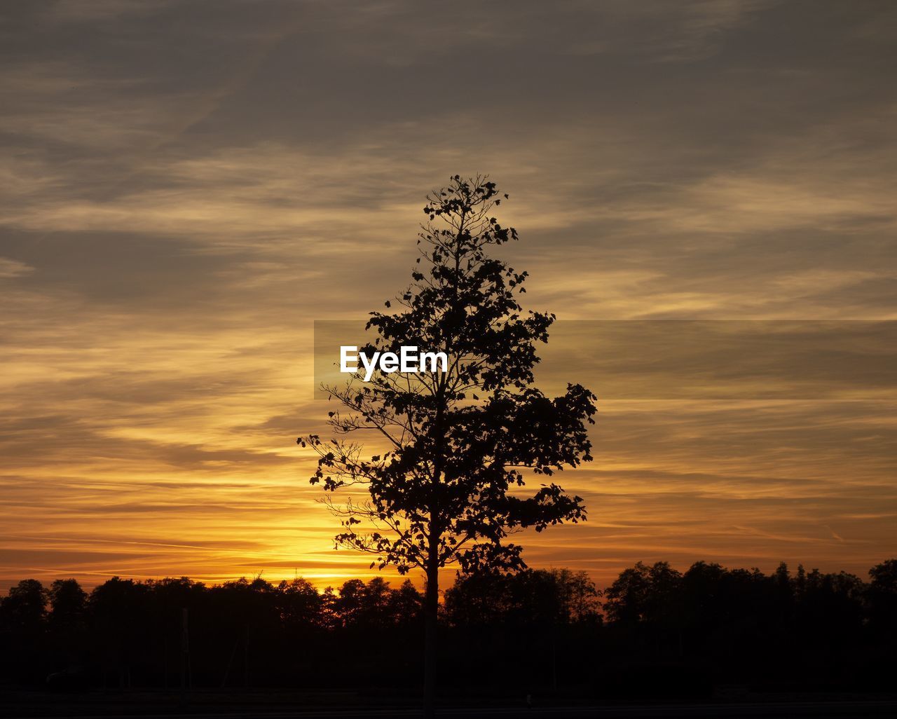 Silhouette tree on field against romantic sky at sunset