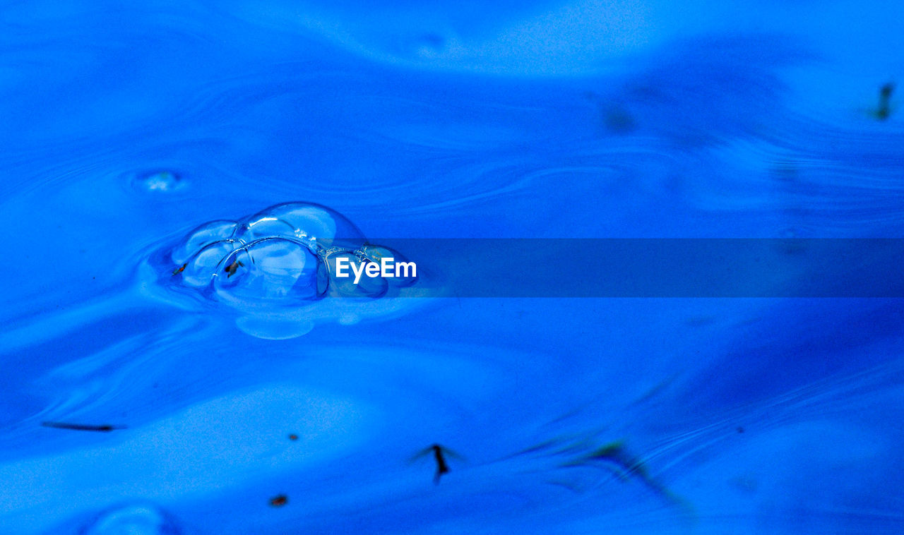 CLOSE-UP OF WATER DROPS ON BLUE SURFACE