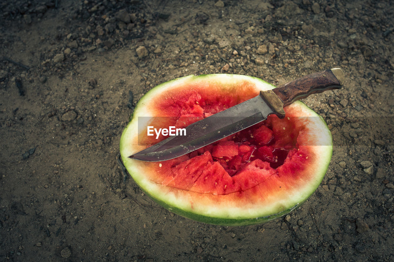 High angle view of knife on halved watermelon at field