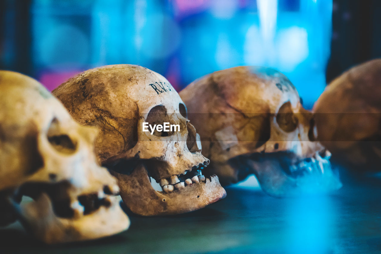 Close-up of human skulls on table