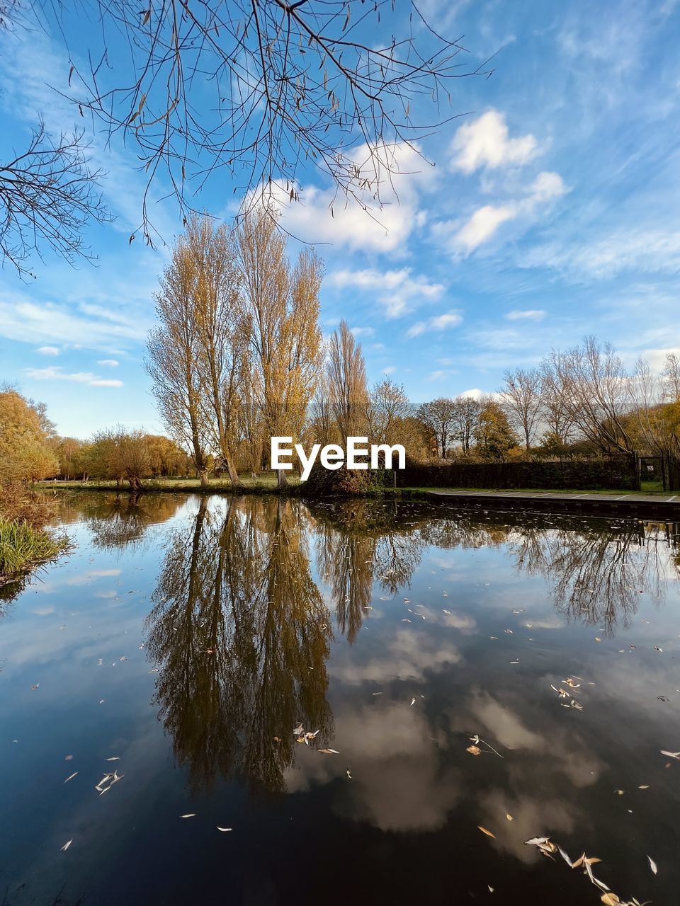 reflection, water, nature, sky, tree, lake, cloud, plant, morning, tranquility, beauty in nature, scenics - nature, landscape, autumn, no people, tranquil scene, leaf, sunlight, environment, blue, outdoors, body of water, day, travel destinations, winter, non-urban scene, reflection lake, idyllic