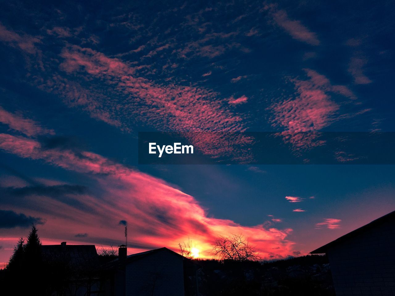 Low angle view of silhouette trees against sky