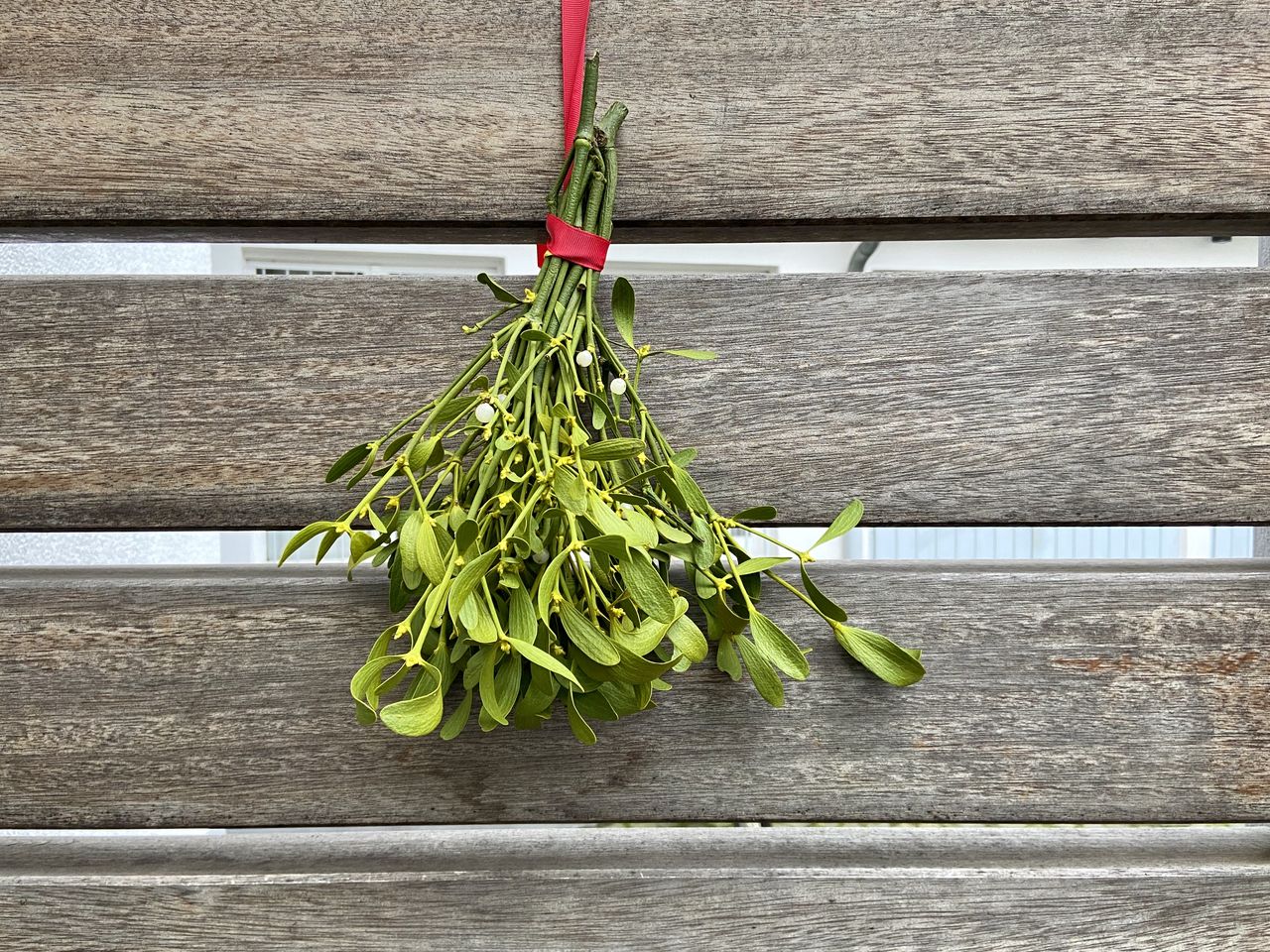 Close-up of vegetables on table