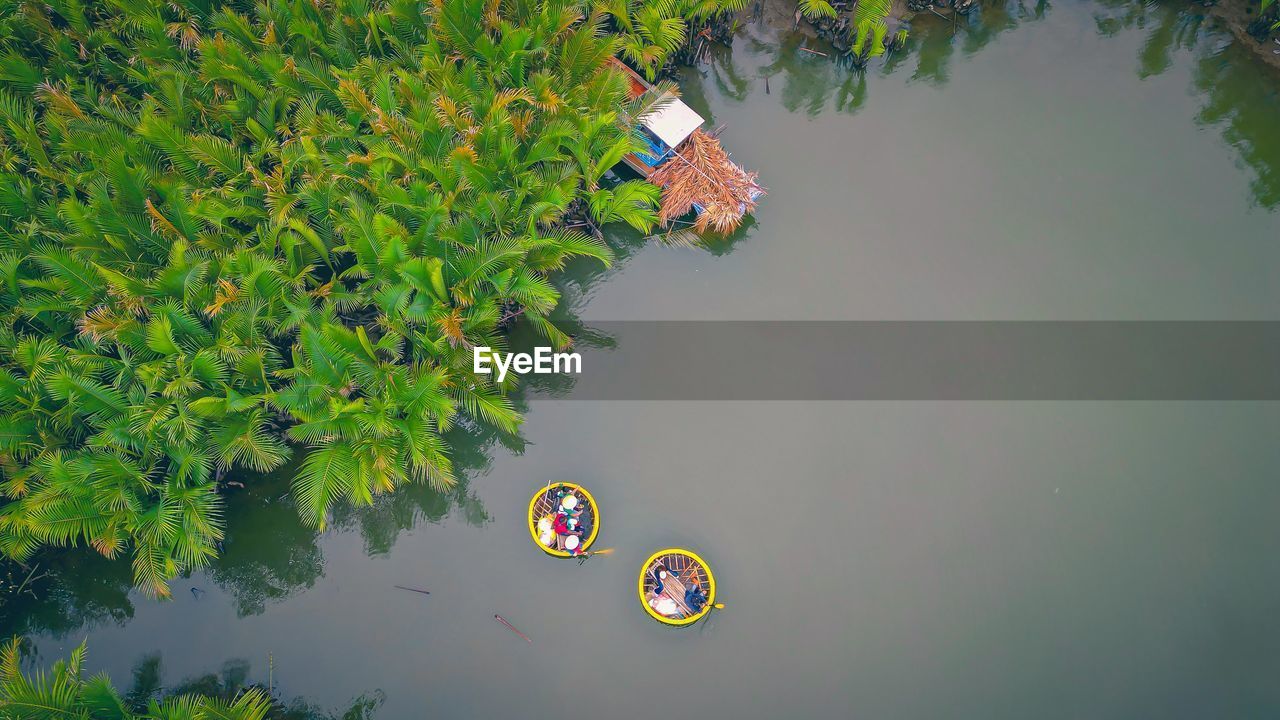 water, lake, nature, plant, green, tree, reflection, high angle view, day, no people, outdoors, leaf, screenshot, environment, plant part, tranquility, standing water, beauty in nature, floating on water, floating, growth